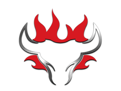 Schwank Grills Logo