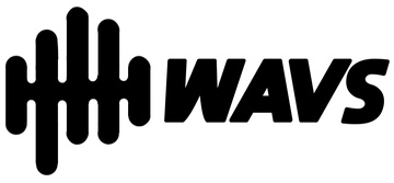 WAVS Custom Logo