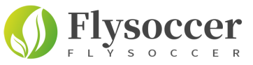 Flysoccer Logo