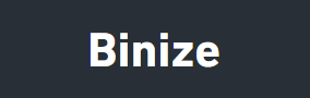 Binize Logo
