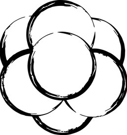myssage Logo