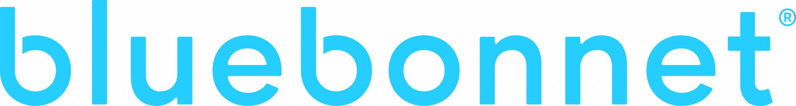 Bluebonnet Case Logo