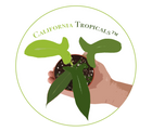 California Tropicals Logo