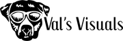 ValsVisuals Logo