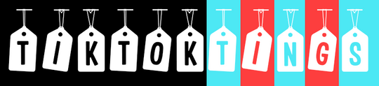 TikTokTings Logo