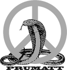 PRUMATT Logo