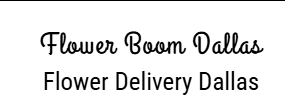 Flower Boom Dallas Logo