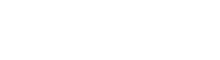SaltWise Logo