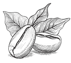 Small Batch Roasting Logo