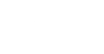 Riseicon Shop Logo