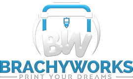Brachyworks Logo