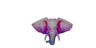 Exotic Elephant LLC Logo