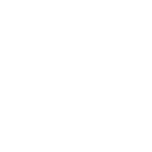Boutique Survivalisme Logo
