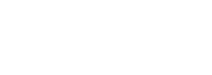 Flow Massagepistolen Logo