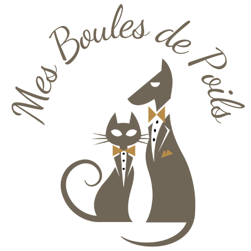 Mes boules de poils Logo