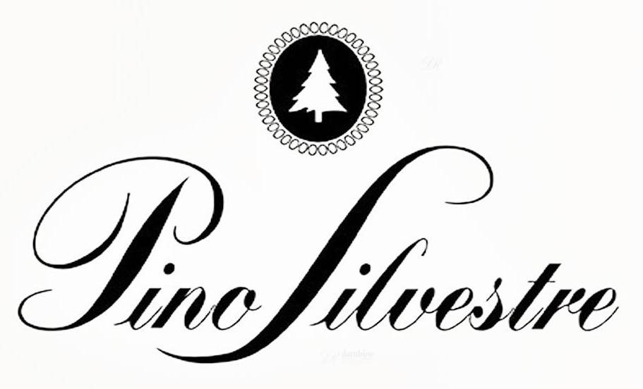 Pino Silvestre Logo