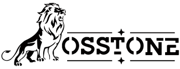 OSSTONE Logo