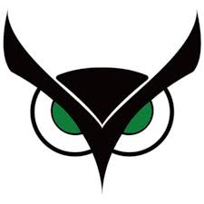 Usnighthawk com Logo