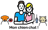 Monchienchat Fr Logo