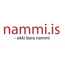 NAMMI IS Logo