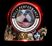Bully Performance Logo