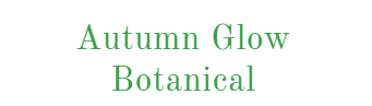 Autumn Glow Botanical Logo