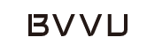 Bvvu Logo
