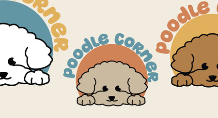 PoodleCorner Logo