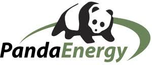 Energie Panda Logo