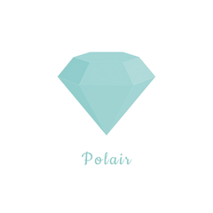 Polair Logo