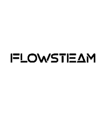 Flowsteam Logo