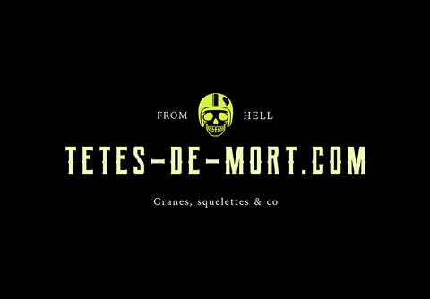 Tetes-de-mort Logo